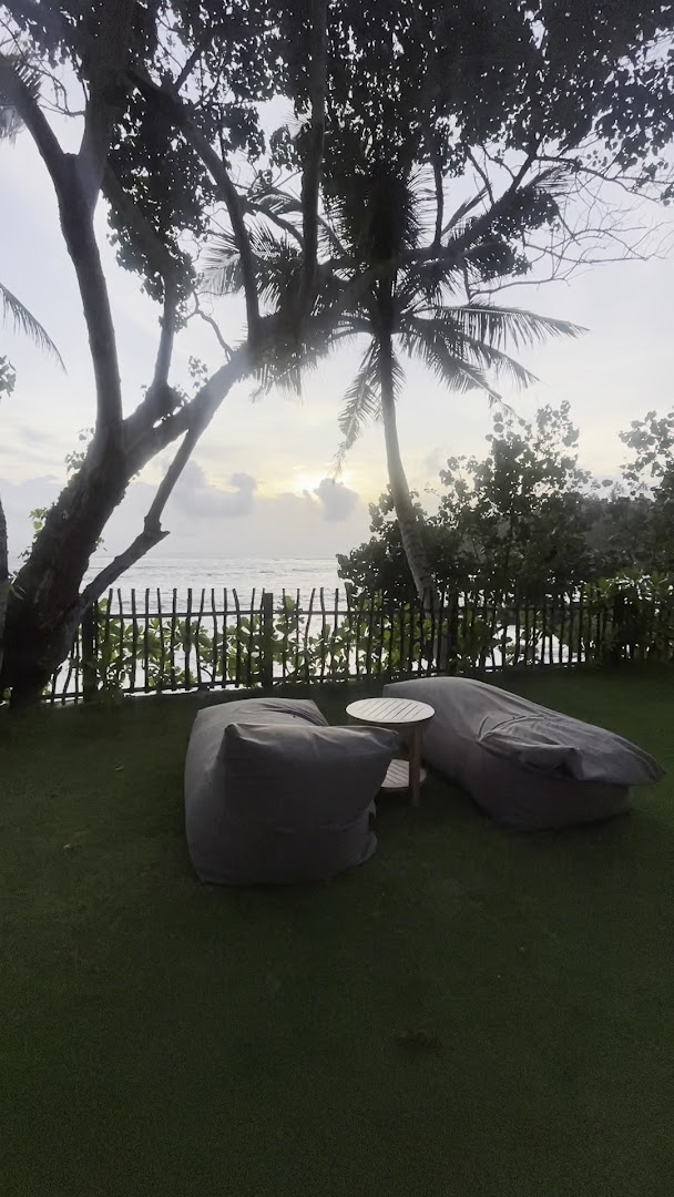 Garden seating beneath palms near the sea